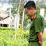  Vụ đòi cơ sở cây giống có 'chứng chỉ ghép cây': Sở Nông nghiệp và Môi trường tỉnh Hậu Giang nói gì?