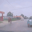  Ngựa bỏ chạy khỏi chợ lao vào ô tô làm bể kính và đèn xe, chủ ngựa đòi tài xế bồi thường