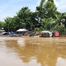  Nước lũ đầu nguồn đổ về An Giang, cá linh xuất hiện sớm, người dân vui mừng