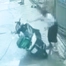  Xô ngã xe máy shipper, cán bộ phường ở TP.HCM bị kiểm điểm
