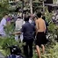 Cây phượng bật gốc đè chết người đàn ông đứng gần cổng bệnh viện ở TP.HCM 