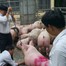 Ăn thịt heo có chất cấm Salbutamol, sức khỏe bị ảnh hưởng như thế nào?