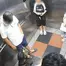  Video thành viên ban quản trị chung cư bị tát vì nhắc đeo rọ mõm cho chó, công an đang làm rõ
