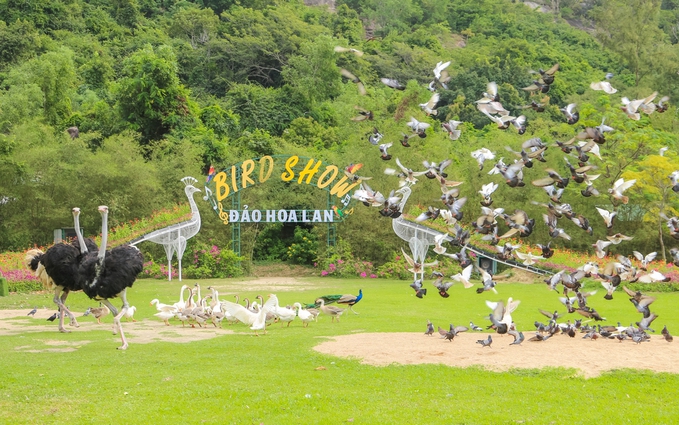 Đảo Hoa Lan – vịnh Nha Phu