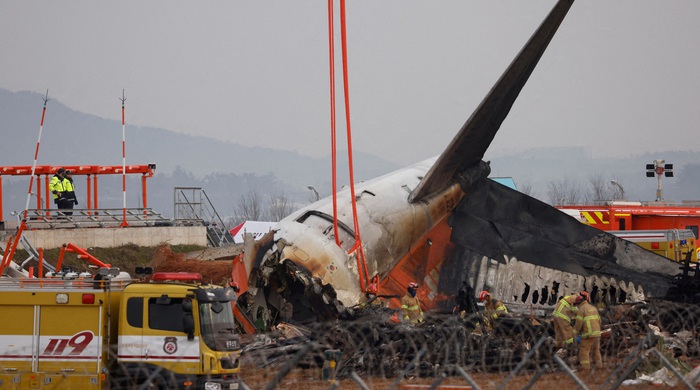 Máy bay Hàn Quốc gặp nạn được cảnh báo va chạm với chim trước 1 phút - Tuổi Trẻ Online