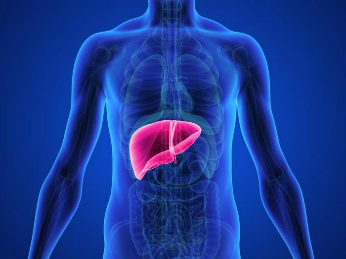 9 dấu hiệu cảnh b&aacute;o gan c&oacute; bệnh - Tuổi Trẻ Online