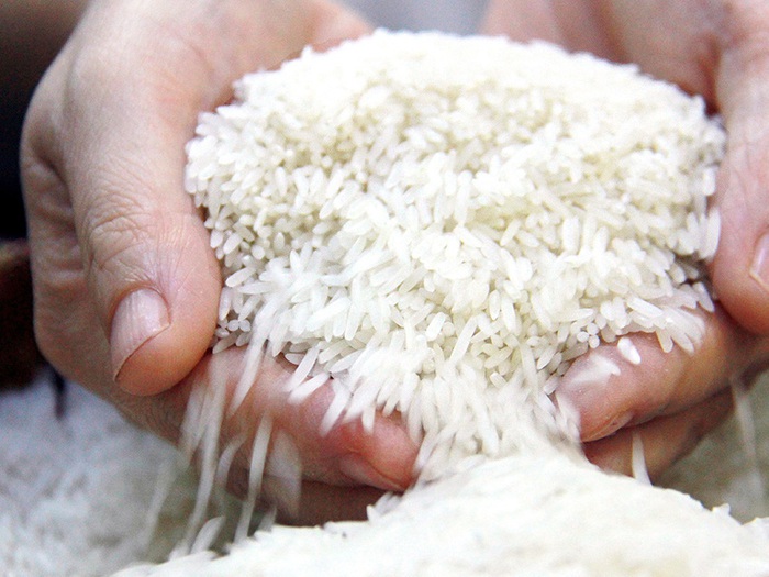 bao gạo st25 giá sỉ