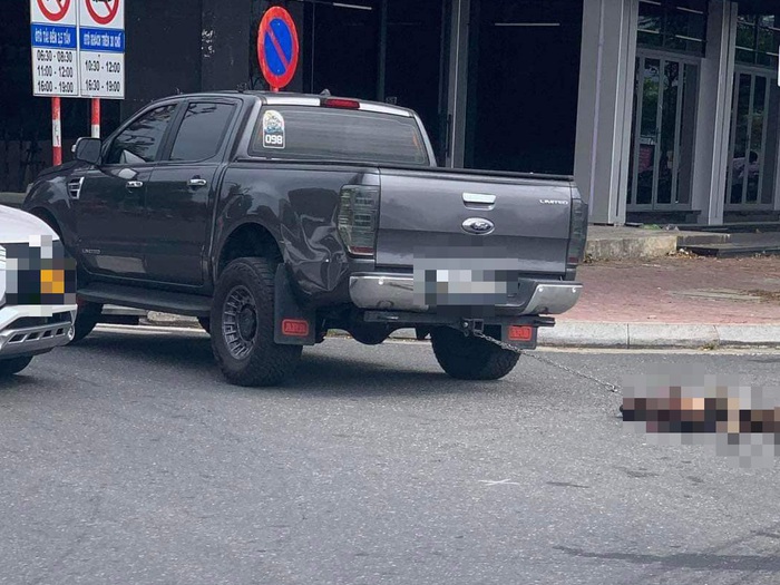 Sự thật về hai chú chó bị kéo lê sau xe ô tô trên đường phố Đà Nẵng gây  tranh cãi - Tuổi Trẻ Online