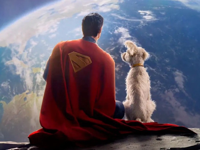 Hàng trăm chú chó được nhận nuôi nhờ cơn sốt siêu khuyển Krypto của Superman  - Tuổi Trẻ Online