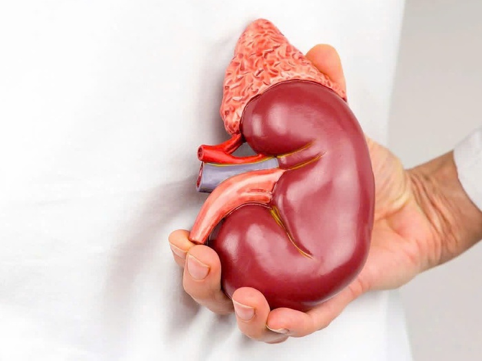 C&aacute;c nguy&ecirc;n nh&acirc;n dễ dẫn đến chứng bệnh suy thận - Tuổi Trẻ Online