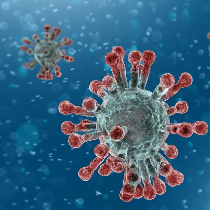 Tái nhiễm' COVID-19 sau 3 tháng, giới khoa học Mỹ lúng túng ...