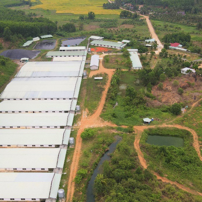 Công nghệ 11, Trang trại chăn nuôi theo tiêu chuẩn Vietgap