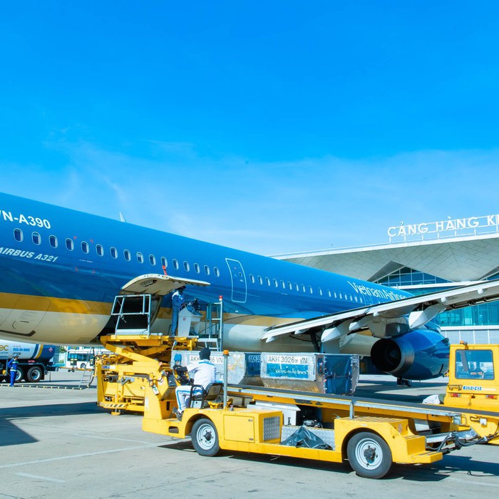 Vietnam Airlines khôi phục bay tại sân bay Vinh từ 19 - 12 , vé Tết khan  hiếm - Tuổi Trẻ Online