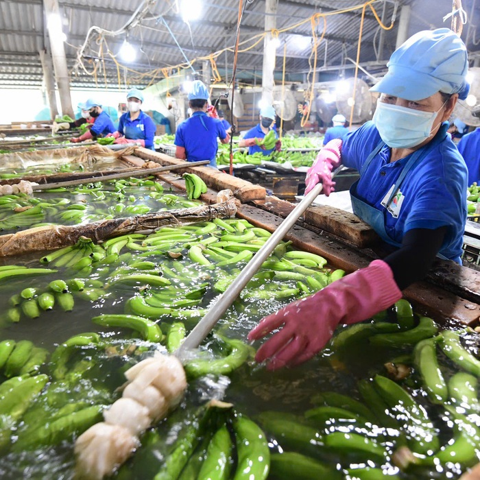 Giải Quyết Nỗi Ám Ảnh Thất Nghiệp Ở Đàn Ông Trung Niên