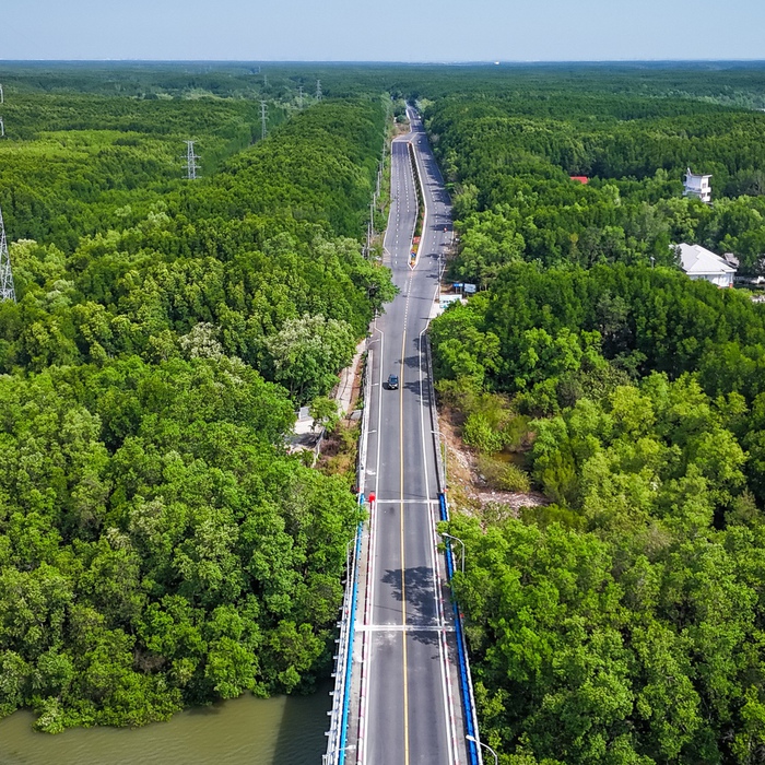 Dự Báo Tương Lai của Đường Sắt Tốc Độ Cao TP.HCM Cần Giờ