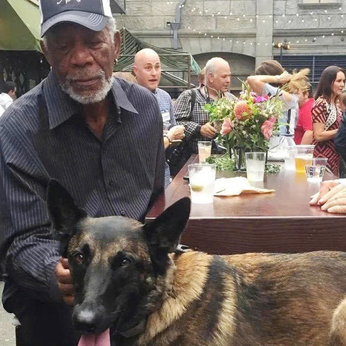 Thông tin diễn viên Morgan Freeman chi 11 triệu USD cứu ...