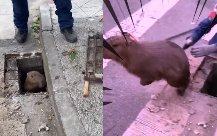 mac ket: Tin tức, sự kiện liên quan - Tuổi Trẻ Cười