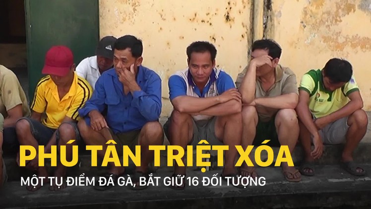 Phú Tân bắt một tụ điểm đá gà, tạm giữ 16 đối tượng
