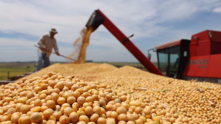 Đậu nành Mỹ trùm mền “nhìn” thương chiến