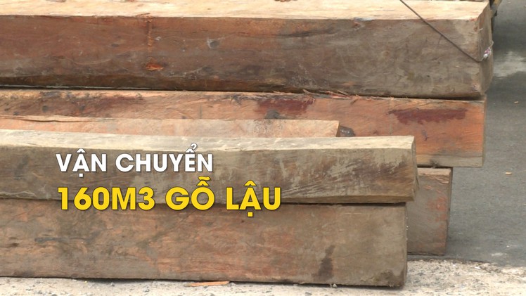 Dùng biển số giả vận chuyển trên 160m3 gỗ lậu