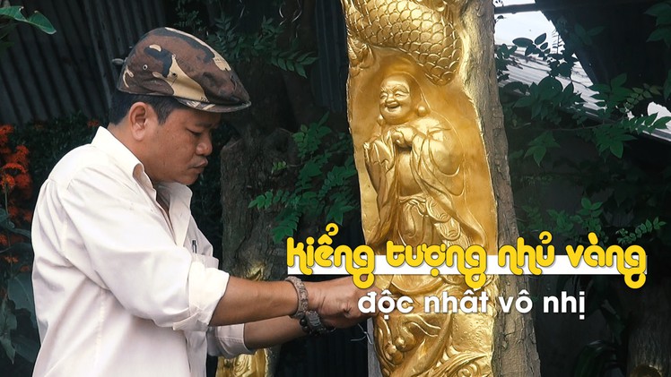 Những cây kiểng tượng nhủ vàng độc nhất vô nhị