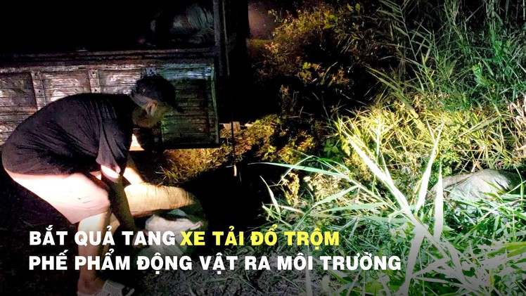 Bắt quả tang xe tải đổ trộm hơn 6 tấn phế phẩm động vật ra môi trường