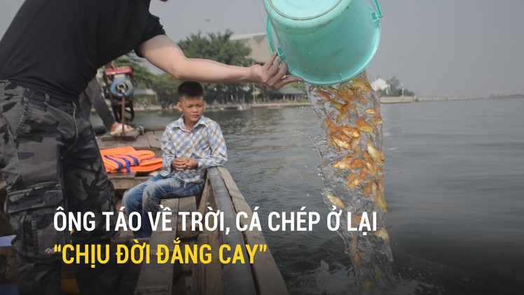 Ông Táo về trời, cá chép ở lại “chịu đời đắng cay”