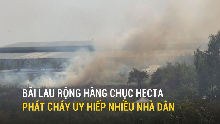 Bãi lau rộng hàng chục hecta phát cháy uy hiếp nhiều nhà dân