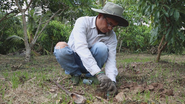 Chàng thanh niên bán ĐTDĐ chế tạo hệ thống điều khiển thiết bị tưới vườn thông minh