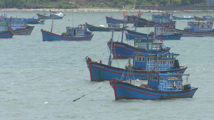 Ngư dân Sông Cầu chủ động ứng phó với mưa bão