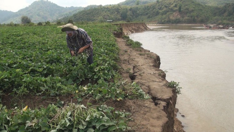 Buộc phải bán đất cho cát tặc