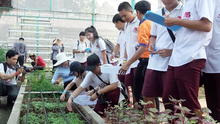 Thích thú mô hình học tập trải nghiệm tại Đầm Sen