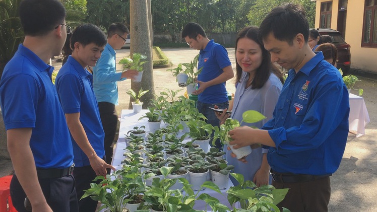 Bạn trẻ công sở Nghệ An hào hứng đổi rác lấy cây xanh