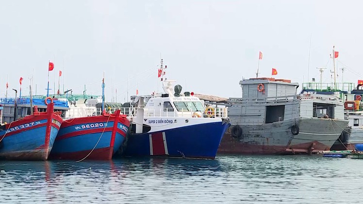 Tạm dừng hoạt động tuyến giao thông Sa Kỳ - Lý Sơn