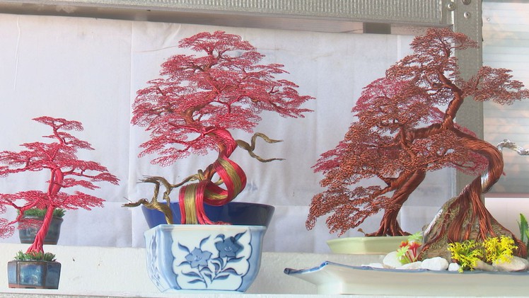 Độc đáo những chậu bonsai bằng dây đồng