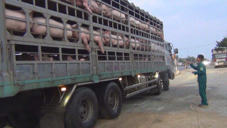 Đồng Nai thành lập thêm 5 chốt kiểm dịch ngăn dịch tả heo châu Phi