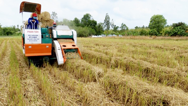 Hốt bạc từ nghề mua rơm