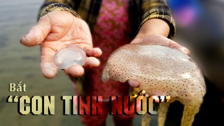 Góc nhìn trưa nay | Về phá Tam Giang – Cầu Hai bắt con “tinh của nước”