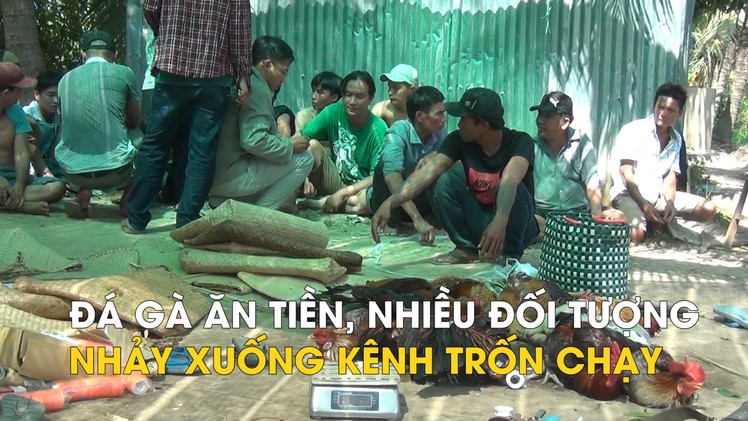 Đột kích tụ điểm đá gà ăn tiền, nhiều đối tượng nhảy xuống kênh trốn chạy