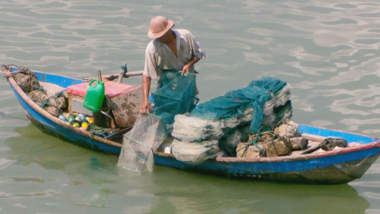 Ngư dân sử dụng lờ bát quái tận diệt thủy sản