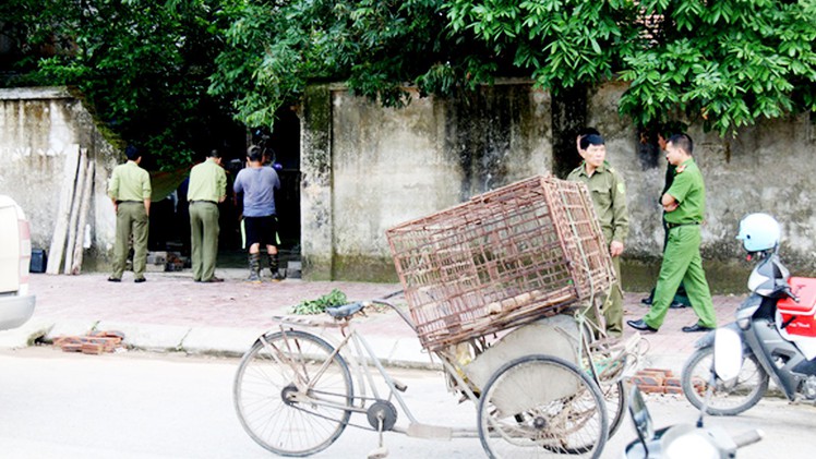 Góc nhìn trưa nay | Công an bắt nhốt đàn chó cắn chết bé trai 7 tuổi