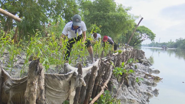 Kè sinh thái chi phí thấp, chống sạt lở hiệu quả