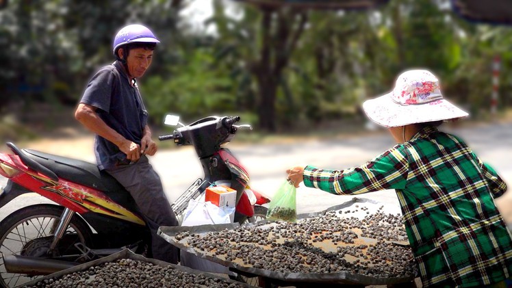 Ăn hến phơi nắng, coi chừng bị rối loạn đường ruột