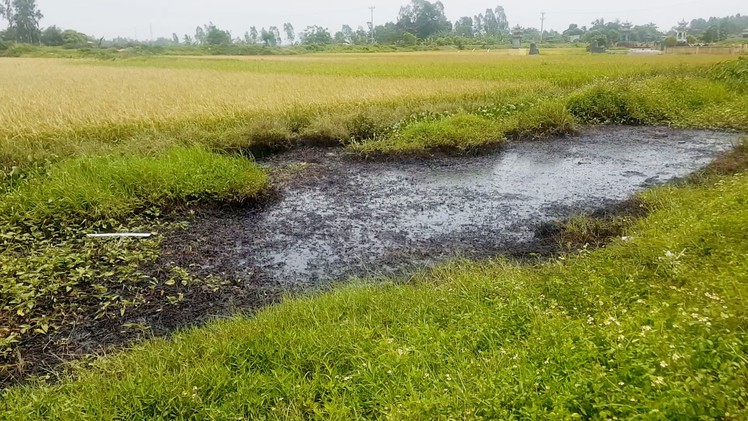 Hải Phòng truy tìm hai nghi phạm đổ thải chất độc ra mương nội đồng