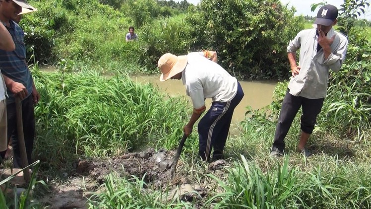 Người dân đào ống xả thải của trại vịt vì không chịu nổi ô nhiễm