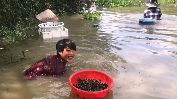 Ngụp lặn mò ốc quắn mùa lụt miền Tây