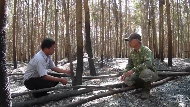 Phú Yên: Công an điều tra các vụ phá hoại cây trồng tại Sông Hinh