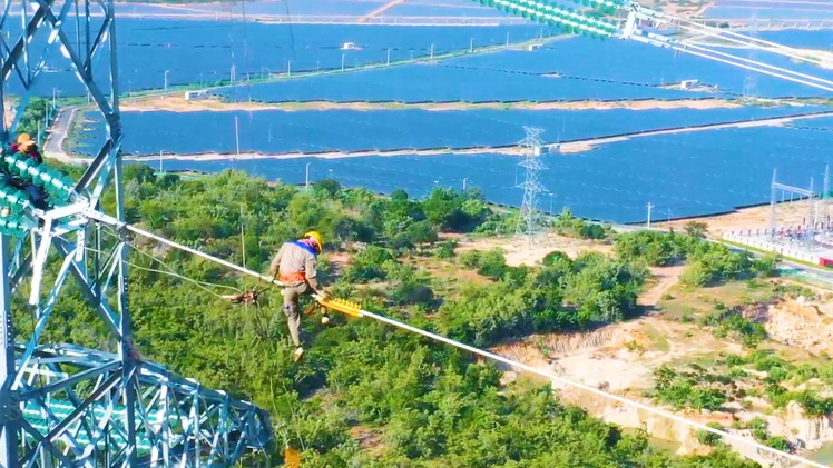 Video: Vận hành dự án điện mặt trời lớn tại Ninh Thuận