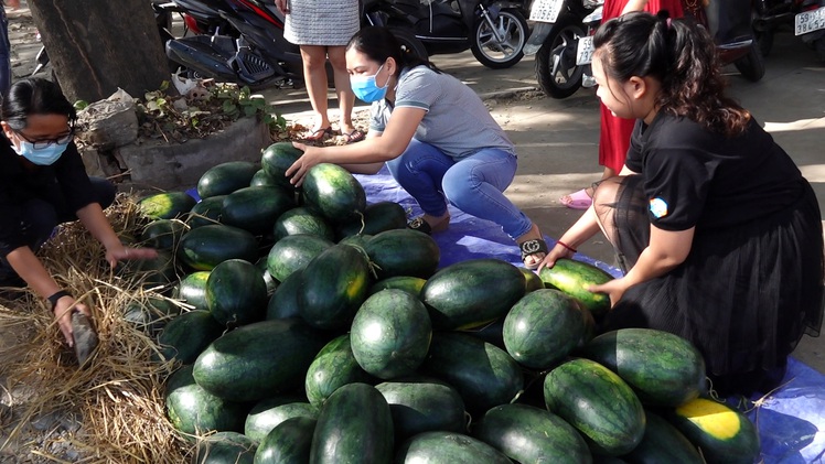 “Giải cứu” dưa hấu mùa dịch cúm Corona