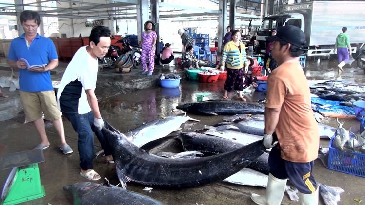 Góc nhìn trưa nay | Ngành thủy sản “chạy nước rút” khắc phục “thẻ vàng”